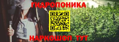 прущие грибы Краснознаменск