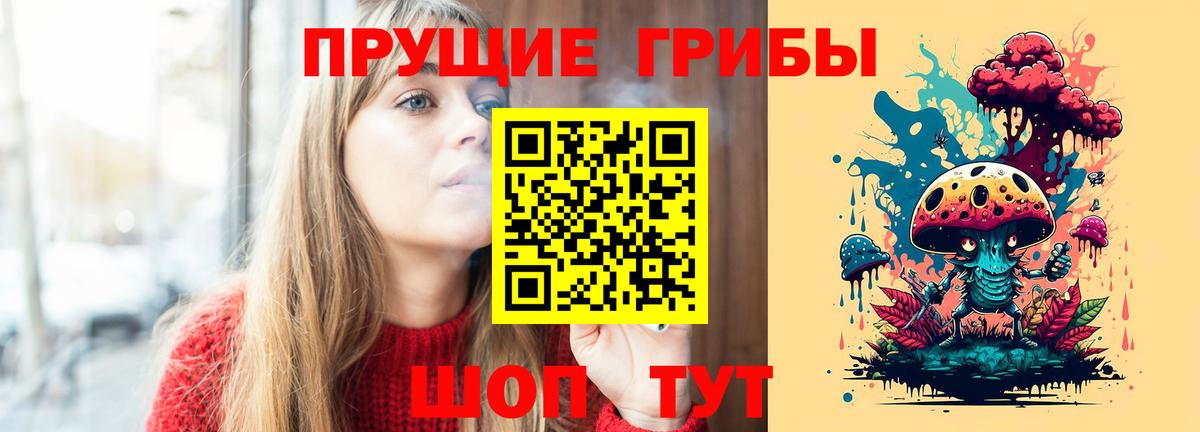 Галлюциногенные грибы Psilocybe Ипатово